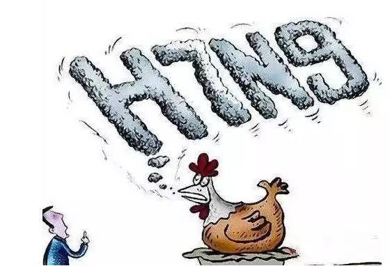 山西h7n9禽流感最新消息,山西H7N9禽流感最新消息，全面防控，保障人民健康
