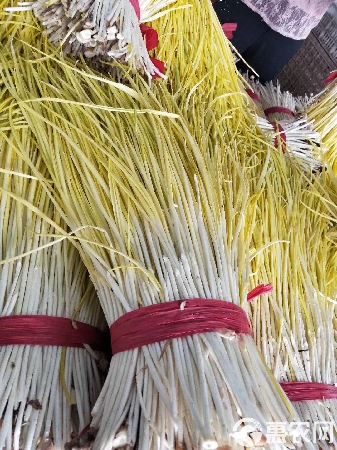 蒜黃最新價(jià)格,蒜黃最新價(jià)格及其影響因素分析