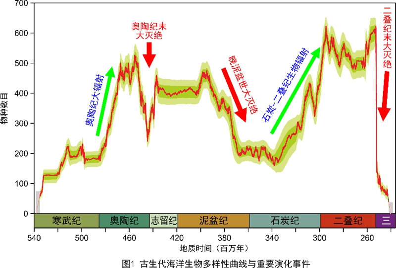 織金殺人最新,織金殺人案最新進(jìn)展，深度解析事件背景與最新動(dòng)態(tài)