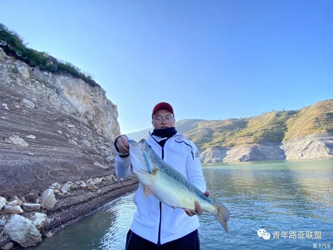 售前咨詢 第722頁