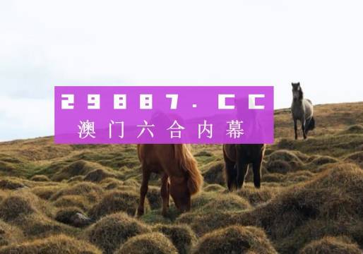 澳門六開獎(jiǎng)結(jié)果2023開獎(jiǎng)記錄查詢網(wǎng)站,澳門六開獎(jiǎng)結(jié)果2023開獎(jiǎng)記錄查詢網(wǎng)站，探索與解析