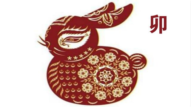 今晚必開(kāi)什么生肖,今晚必開(kāi)什么生肖，探尋生肖運(yùn)勢(shì)與預(yù)測(cè)的魅力