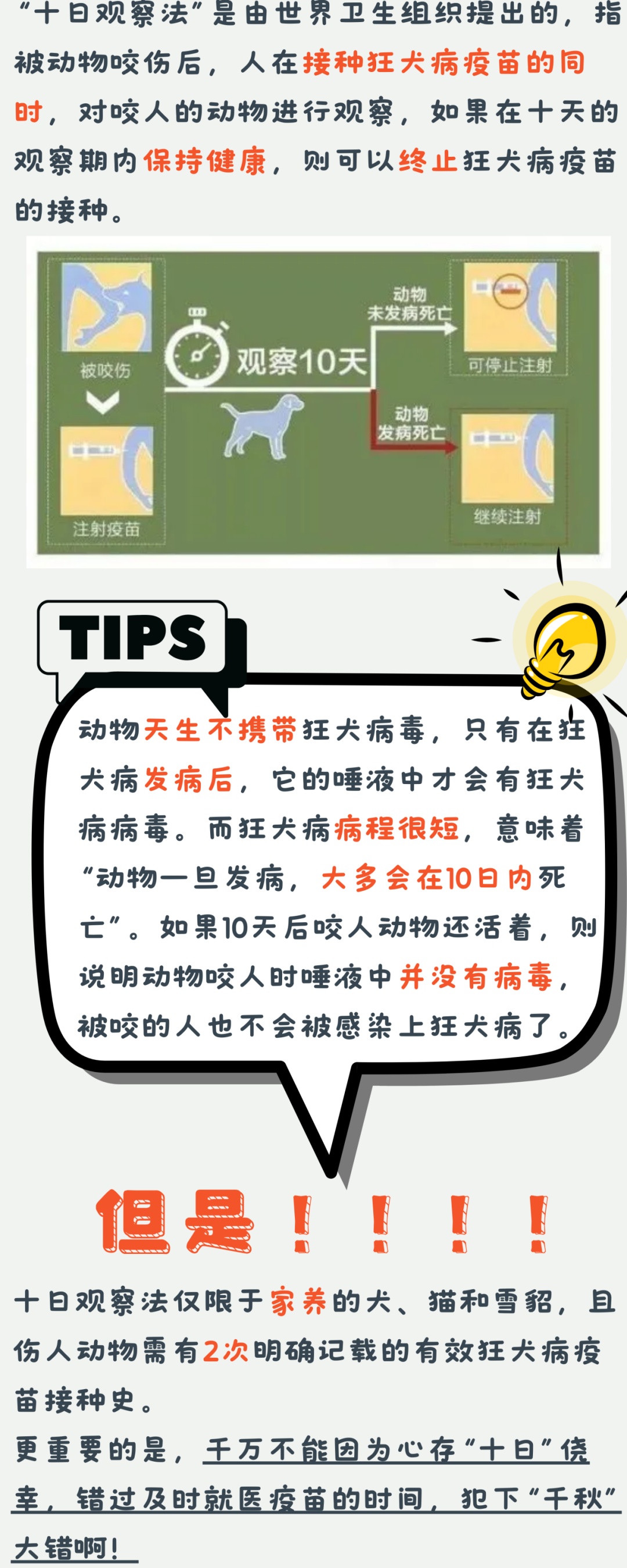 澳門(mén)管家婆四肖選一肖期期準(zhǔn),澳門(mén)管家婆四肖選一肖期期準(zhǔn)——揭開(kāi)神秘面紗下的犯罪真相