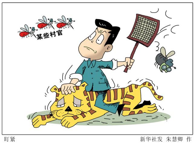 白小姐三肖三期必出一期開獎虎年,白小姐三肖三期必出一期開獎虎年，預(yù)測與解析
