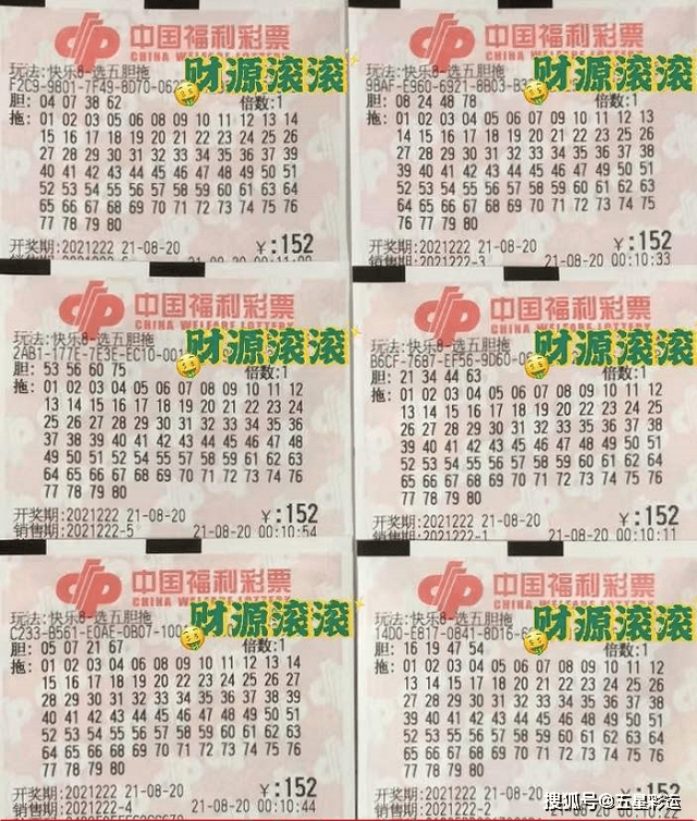 龍飛鳳舞_1 第10頁