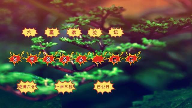 777778888精準(zhǔn)跑狗,探索精準(zhǔn)跑狗，77777與88888的神秘結(jié)合