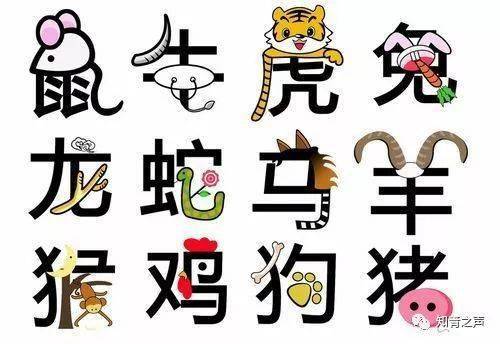一肖一碼,一肖一碼，探索數(shù)字與生肖的奧秘