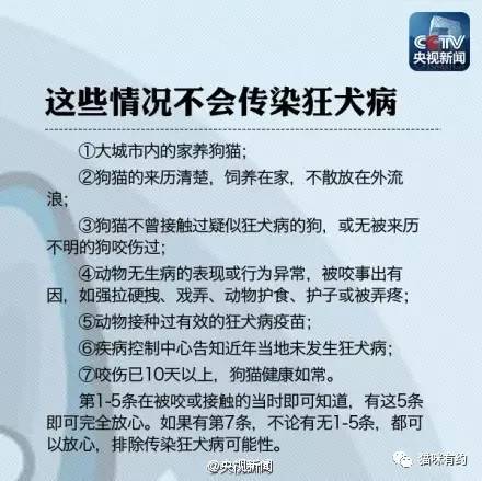 管家婆一笑一馬100正確,管家婆一笑一馬，100%正確之道