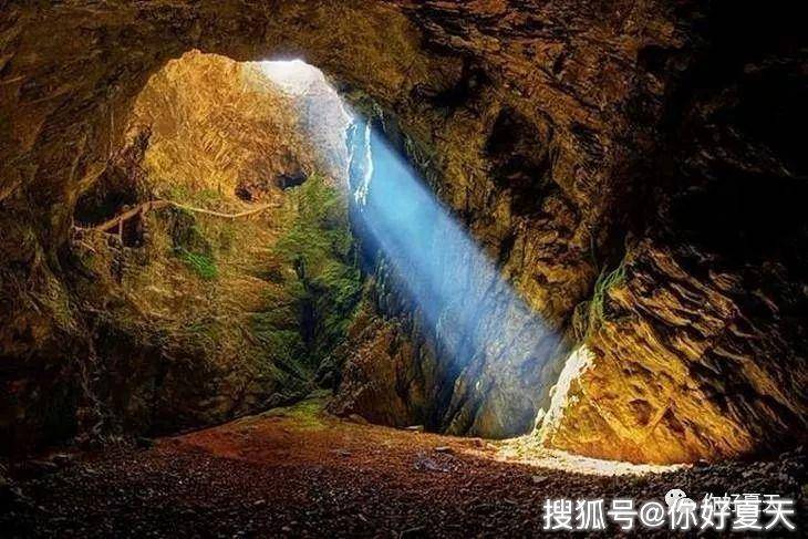ww香港777766開獎(jiǎng)記錄,WW香港777766開獎(jiǎng)記錄，探索數(shù)字世界的神秘魅力