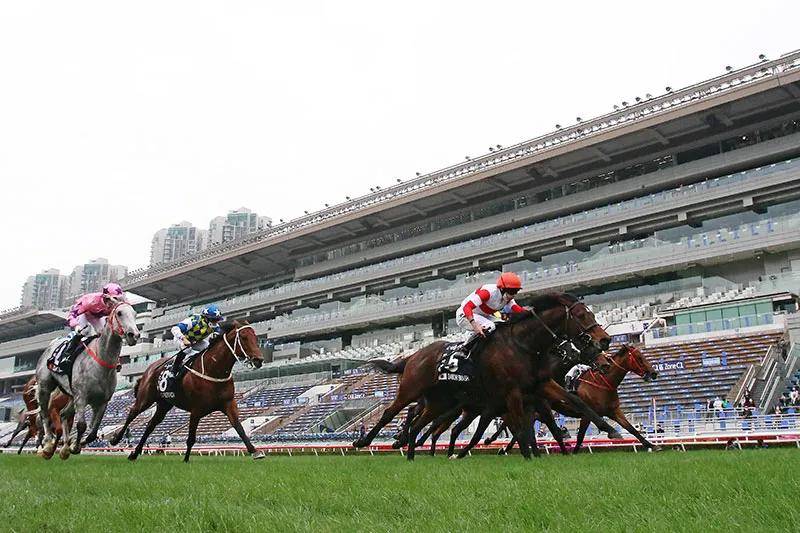 香港2024最準(zhǔn)馬資料免費(fèi),香港2024最準(zhǔn)馬資料免費(fèi)，探索賽馬運(yùn)動(dòng)的魅力與最新資訊