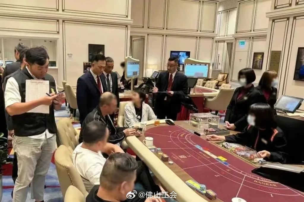 澳門一肖一碼一一子,澳門一肖一碼一一子，揭示背后的違法犯罪問題
