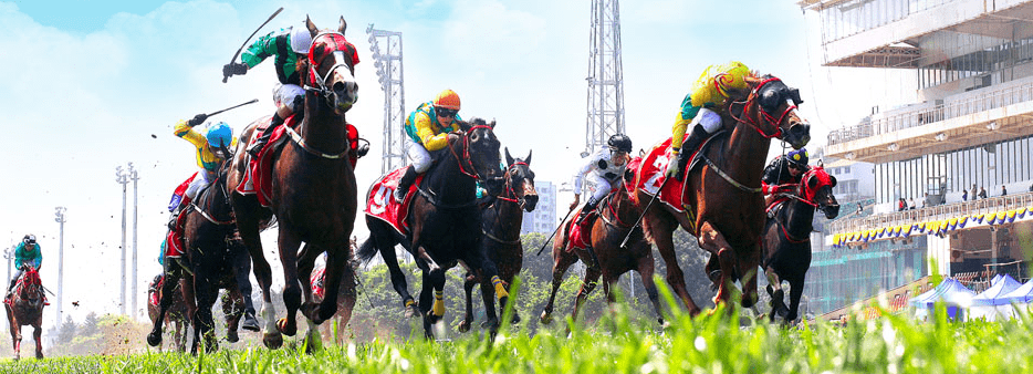澳門馬會傳真,澳門馬會傳真，探索賽馬運動的魅力與現(xiàn)代化發(fā)展
