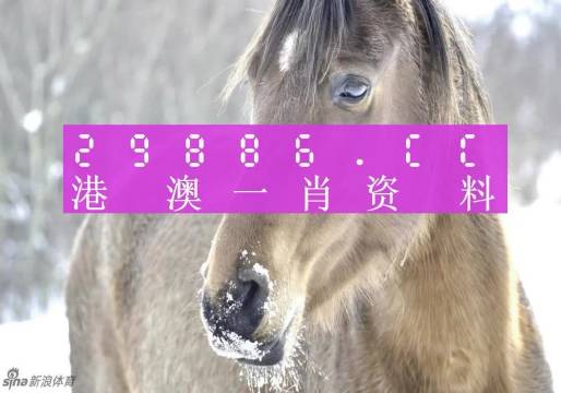 澳門平特一肖100%準(zhǔn)資點(diǎn)評,澳門平特一肖，深度解讀與精準(zhǔn)點(diǎn)評