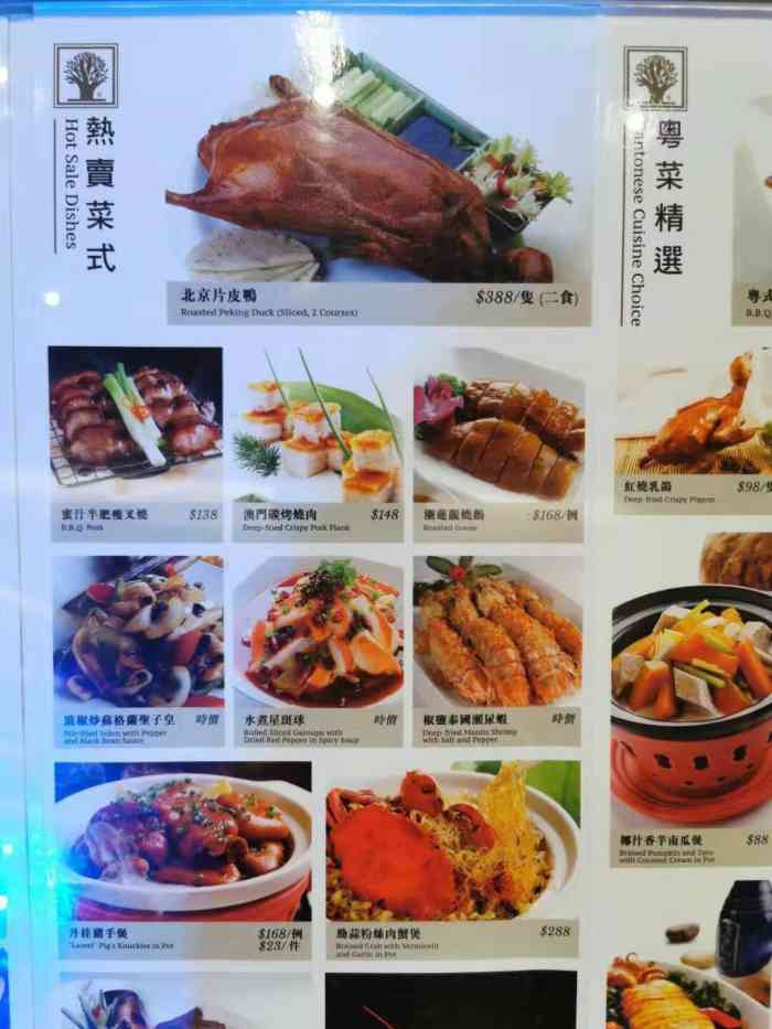 2004年澳門天天開好菜大全,澳門美食之旅，回顧2004年的天天好菜大全