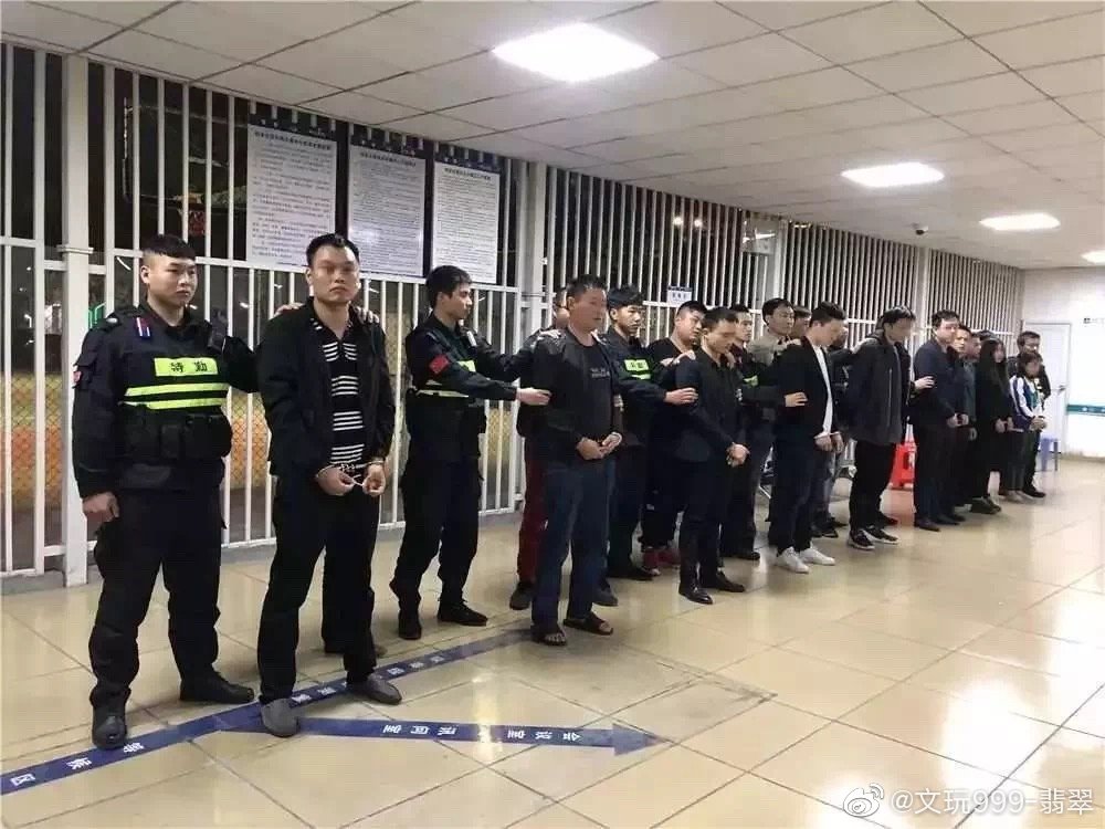 澳門精準(zhǔn)一肖一碼一一中,澳門精準(zhǔn)一肖一碼一一中，揭示犯罪問題背后的真相
