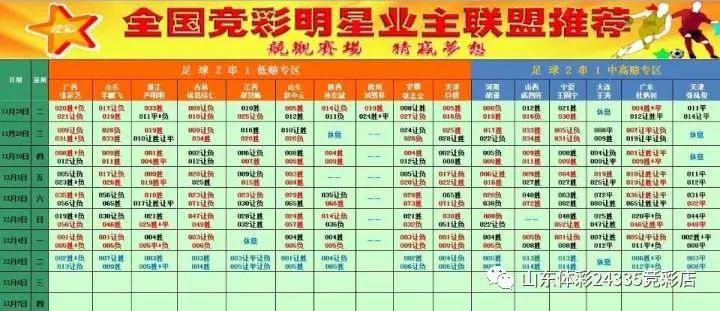 2024年新奧門天天開彩,新澳門天天開彩，探索未來的彩票新世界（2024年展望）