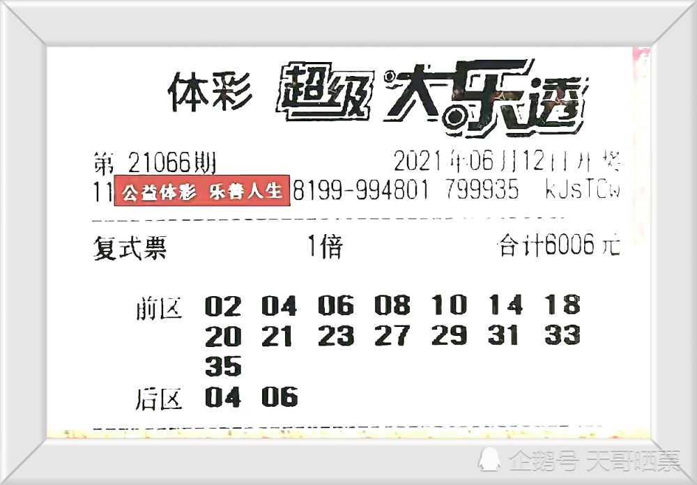 香港今晚開特馬 開獎結果66期,香港今晚特馬開獎，揭曉第66期的神秘面紗
