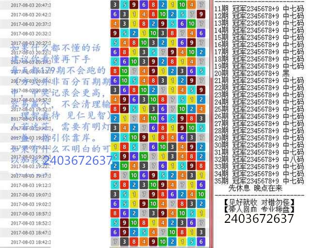 澳門王中王100期期中一期林,澳門王中王100期期中一期林，探索與揭秘