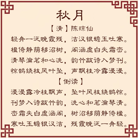 白小姐449999精準一句詩,白小姐449999精準一句詩的魅力與詩意探索