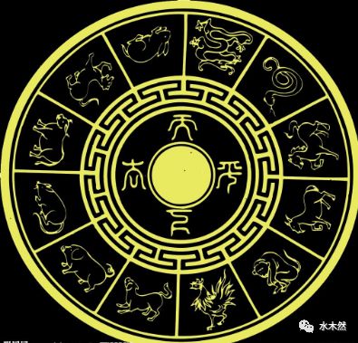 一肖一碼,一肖一碼，探索數(shù)字與生肖的奧秘