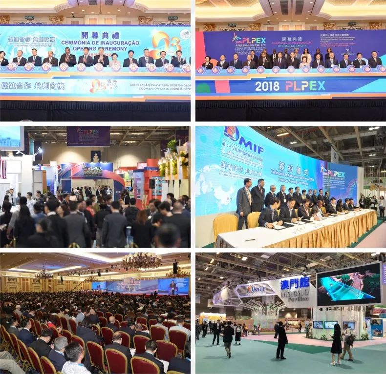 澳門版全年免費(fèi)大全,澳門版全年免費(fèi)大全，探索多元文化融合的精彩世界