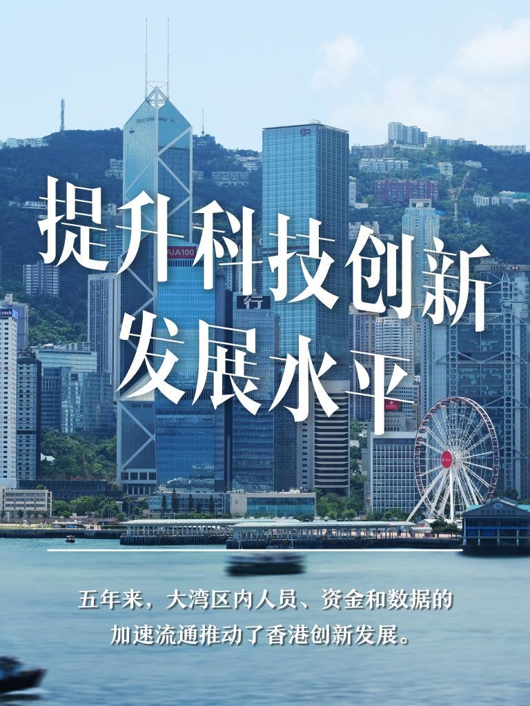 新澳門天天資料,新澳門天天資料，探索與解讀