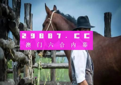 澳門特一肖一碼免費提,澳門特一肖一碼免費提，探索與揭秘