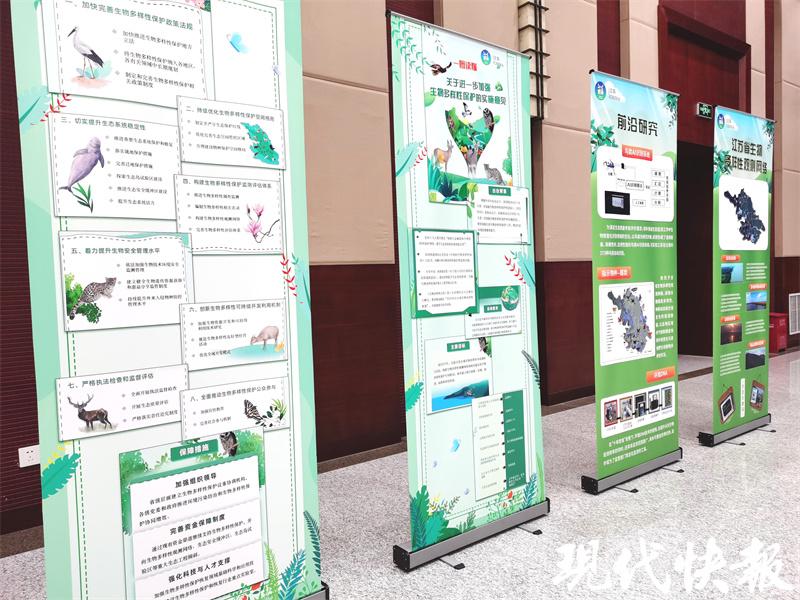 2025全年資料免費(fèi)大全,邁向未來的數(shù)據(jù)寶庫(kù)，2025全年資料免費(fèi)大全