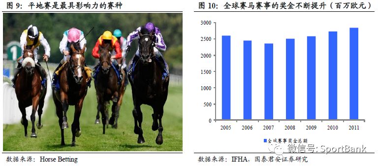 特馬資料,特馬資料，深入了解與探索