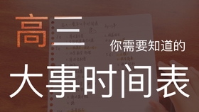 澳門管家婆資料一碼一特一,澳門管家婆資料一碼一特一，深度解析與探討