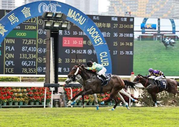 2025澳門今晚開(kāi)特馬結(jié)果,澳門今晚開(kāi)特馬結(jié)果，探索與期待