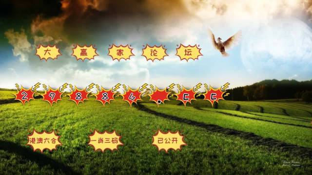 新澳門彩4949歷史記錄,新澳門彩4949歷史記錄，探索與解析