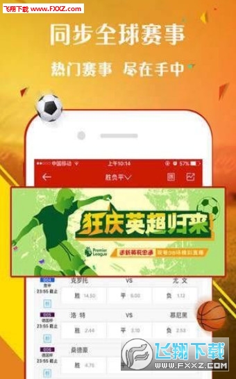 王中王一肖一中一特一中,王中王一肖一中一特一中，探尋卓越之路