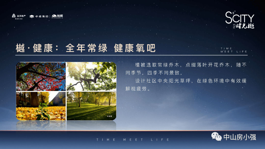 新澳資料大全正版2025,新澳資料大全正版2025，全面解析與深度探討