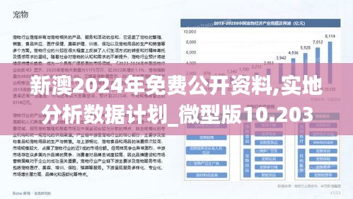 新澳2025年精準(zhǔn)資料期期,新澳2025年精準(zhǔn)資料期期研究分析