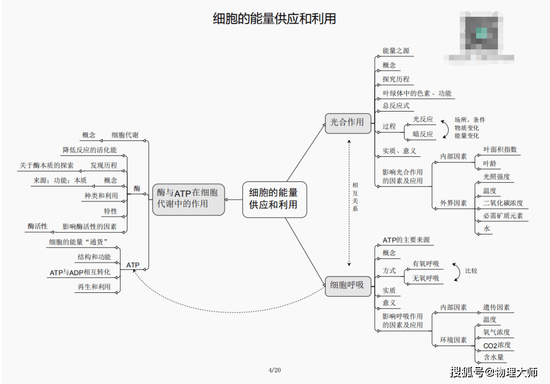 白小姐三肖三期必出一期開獎,白小姐三肖三期必出一期開獎——揭秘彩票神話背后的真相