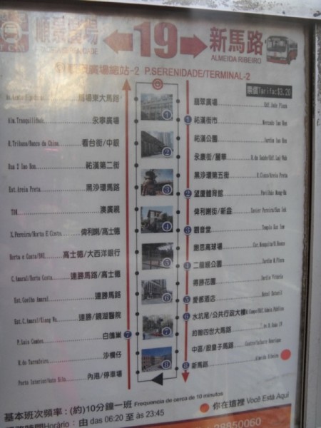 新澳門今晚必開一肖一特,新澳門今晚必開一肖一特——探索生肖彩票的魅力與玄機
