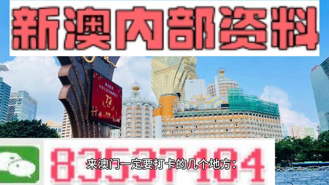 新澳門掛牌正版掛牌,新澳門掛牌正版掛牌，探索與體驗(yàn)