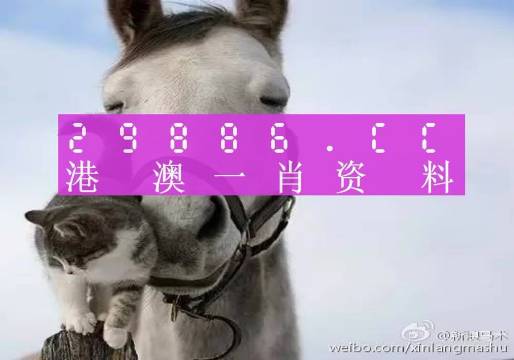 今晚必中一肖一碼四不像075期 13-45-05-18-26-34T：16,今晚必中一肖一碼四不像075期揭秘與預(yù)測(cè)