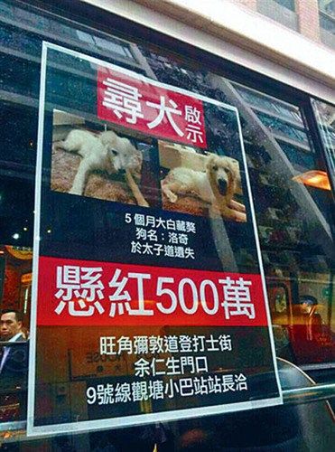 2025年香港正版內(nèi)部資料009期 04-16-24-28-40-41X：23,探索2025年香港正版內(nèi)部資料第009期的獨特奧秘，數(shù)字組合與未來展望