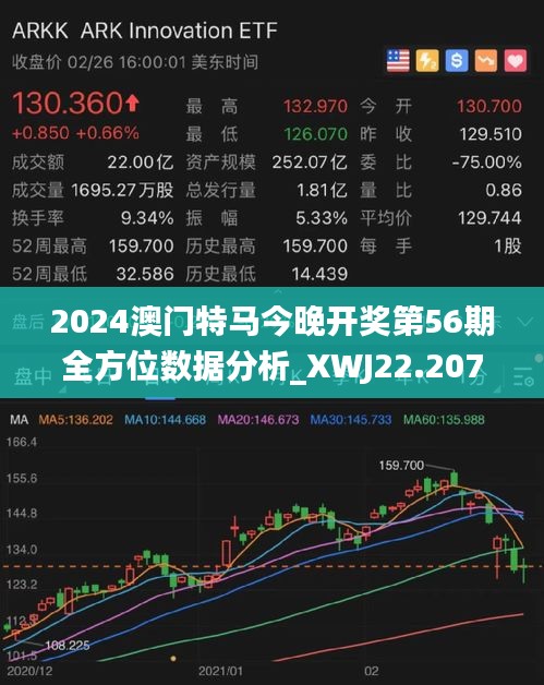 2025年今晚澳門開特馬115期 05-08-09-11-37-44D：10,探索與期待，澳門特馬第115期的奧秘與未來展望