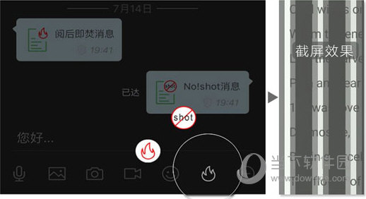 2025管家婆一肖一特030期 19-42-28-29-05-31T：22,探索未來(lái)之秘，解讀2025管家婆一肖一特第030期數(shù)字之謎
