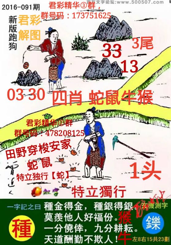 2025高清跑狗圖新版今天081期 05-14-25-36-39-45A：45,探索新版高清跑狗圖，第081期彩票預(yù)測(cè)與解讀（獨(dú)家分析）