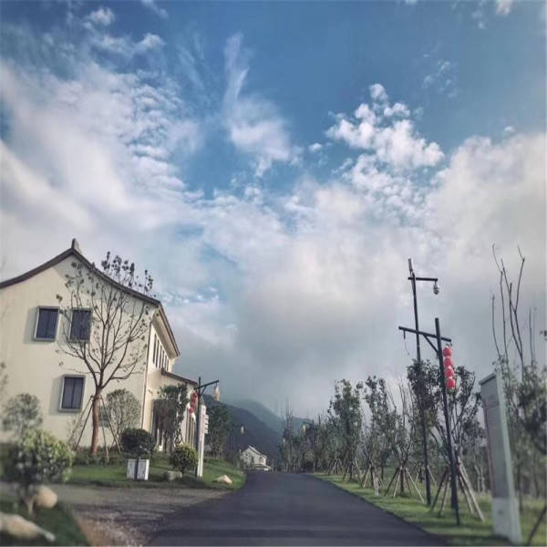 今晚必開一肖最準(zhǔn)生肖039期 04-06-24-31-41-49J：16,今晚必開一肖最準(zhǔn)生肖039期 04-06-24-31-41-49J，16