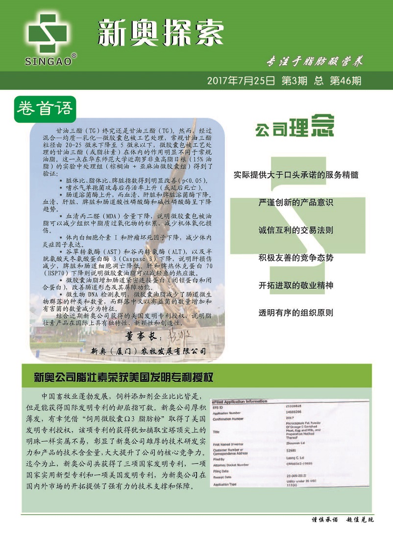 新奧正版資料與內(nèi)部資料065期 05-09-14-20-38-40T：28,新奧正版資料與內(nèi)部資料第065期深度解析，探尋企業(yè)智慧之源的奧秘（日期，T，28）