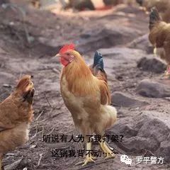 2025新澳今晚資料雞號幾號財安126期 07-29-34-41-44-48W：32,探索未來財富之路，新澳今晚資料雞號與財安策略揭秘